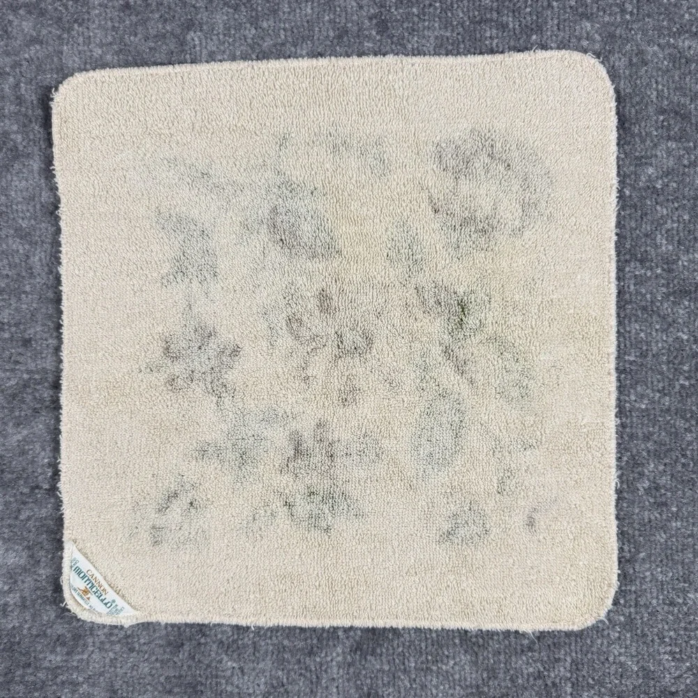 Vintage Cannon Bath Towel and‎ Washcloth Set Beige Brown Floral